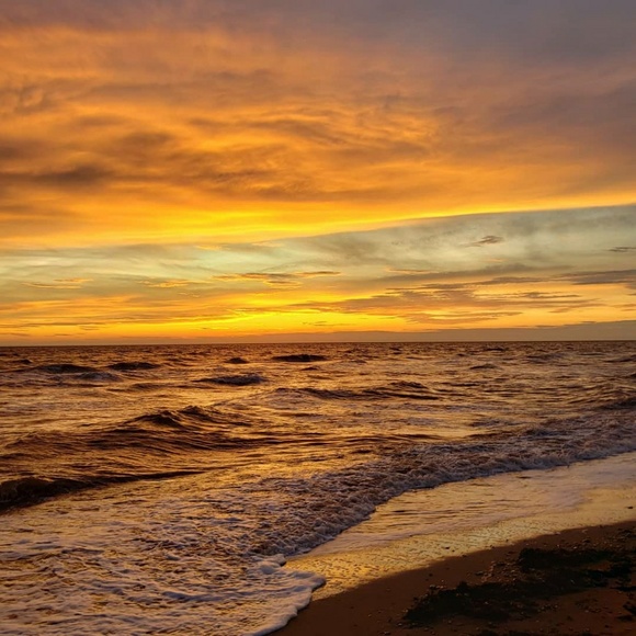 Meet your Posher, Zach - Picture 1 of 1